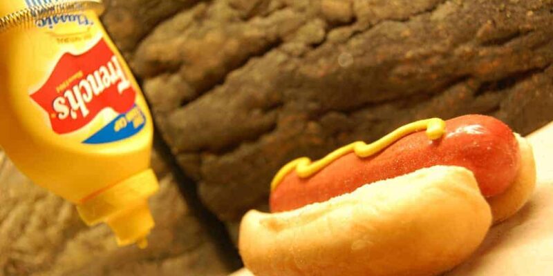 Father plans to 'Indianize' Fourth of July hot dogs again