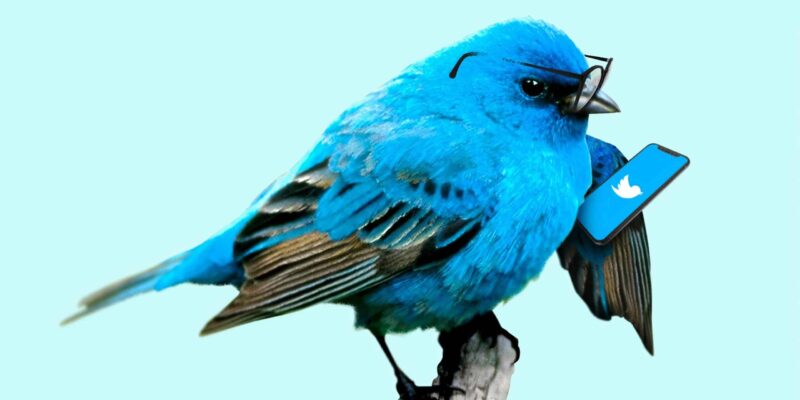 using Tweetdeck